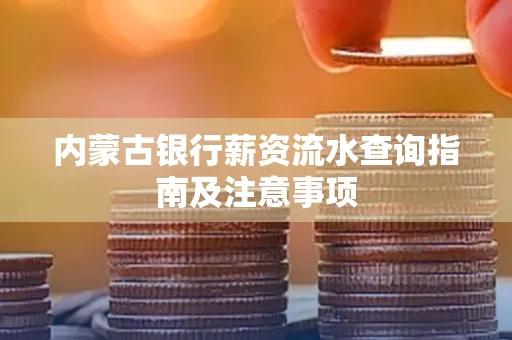 内蒙古银行薪资流水查询指南及注意事项