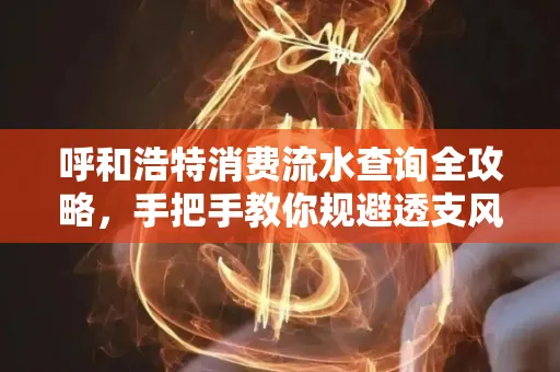 呼和浩特消费流水查询全攻略，手把手教你规避透支风险