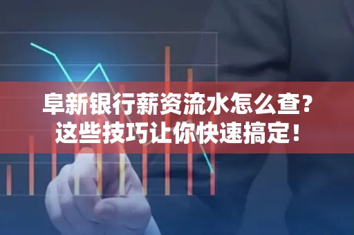 阜新银行薪资流水怎么查?这些技巧让你快速搞定!