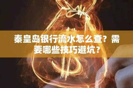 秦皇岛银行流水怎么查?需要哪些技巧避坑?