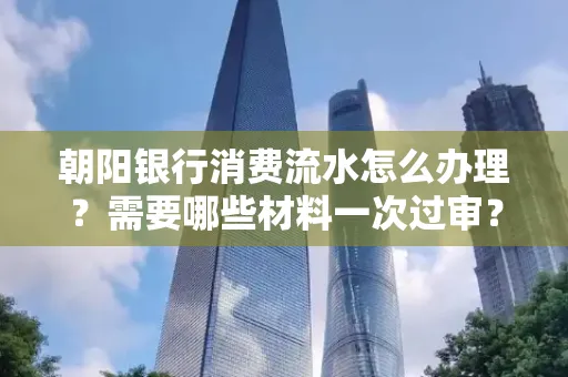 朝阳银行消费流水怎么办理?需要哪些材料一次过审?