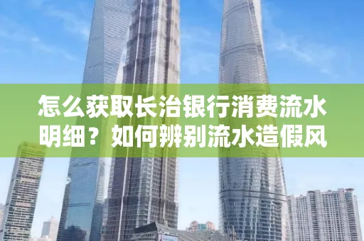 怎么获取长治银行消费流水明细?如何辨别流水造假风险?