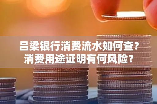 吕梁银行消费流水如何查?消费用途证明有何风险?