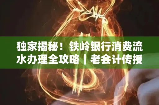 独家揭秘!铁岭银行消费流水办理全攻略|老会计传授防诈技巧