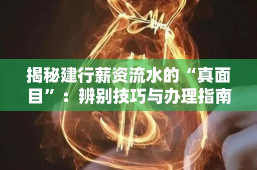 揭秘建行薪资流水的“真面目”:辨别技巧与办理指南大公开