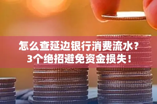 怎么查延边银行消费流水?3个绝招避免资金损失!