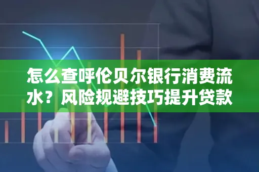 怎么查呼伦贝尔银行消费流水?风险规避技巧提升贷款率?