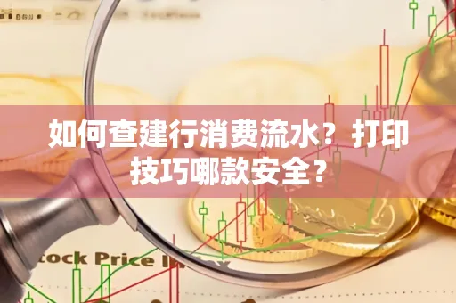如何查建行消费流水?打印技巧哪款安全?